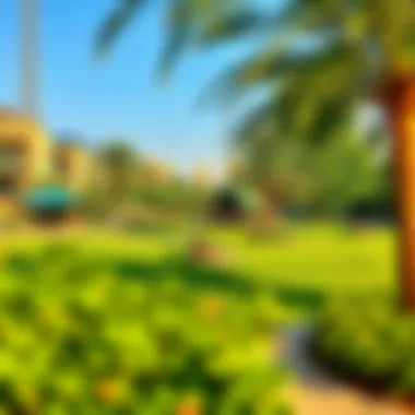 Community Park in المحيصنة Community park in المحيصنة illustrating leisure and recreational activities