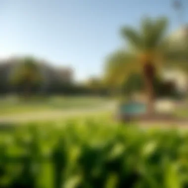 Natural Beauty Near Orchid B Scenic view of green spaces and landscaping near Orchid B