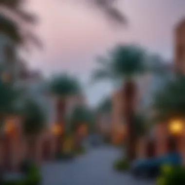 Charming residential neighborhood in Dubai, highlighting a variety of rental houses
